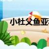 小杜父魚亞科（關于小杜父魚亞科簡介）
