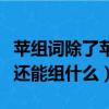 蘋組詞除了蘋果還能組什么詞（蘋除了組蘋果還能組什么）