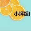 小坪組[2]（關于小坪組[2]簡介）