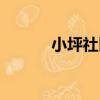 小坪社區（關于小坪社區簡介）
