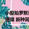 小型始羅默巢珊瑚 新種（關于小型始羅默巢珊瑚 新種簡介）
