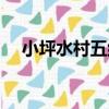 小坪水村五組（關于小坪水村五組簡介）