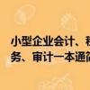小型企業會計、稅務、審計一本通（關于小型企業會計、稅務、審計一本通簡介）