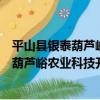 平山縣銀泰葫蘆峪農業科技開發有限公司（關于平山縣銀泰葫蘆峪農業科技開發有限公司介紹）