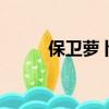 保衛蘿卜235關（保衛蘿卜2 35）