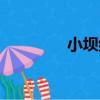 小壩組（關于小壩組簡介）