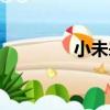 小未來（關于小未來簡介）