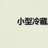 小型冷藏庫（關于小型冷藏庫簡介）