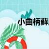 小曲柄蘚屬（關于小曲柄蘚屬簡介）