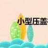 小型壓蓋機（關于小型壓蓋機簡介）