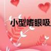 小型嗜眼吸蟲（關于小型嗜眼吸蟲簡介）