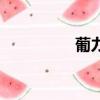 葡力氨糖霜（葡力氨糖）