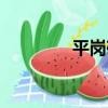 平崗礦（關于平崗礦介紹）