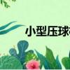 小型壓球機（關于小型壓球機簡介）