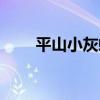 平山小灰蝶（關于平山小灰蝶介紹）