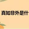 真如非外是什么意思（不外如是是什么意思）