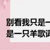 別看我只是一只羊歌詞是什么意思（別看我只是一只羊歌詞）