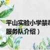 平山實驗小學禁毒志愿服務隊（關于平山實驗小學禁毒志愿服務隊介紹）