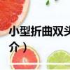小型折曲雙頭筆石（關于小型折曲雙頭筆石簡介）