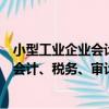 小型工業企業會計、稅務、審計一本通（關于小型工業企業會計、稅務、審計一本通簡介）
