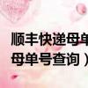 順豐快遞母單號查詢只有一個快遞（順豐快遞母單號查詢）