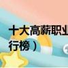 十大高薪職業排行榜前十名（十大高薪職業排行榜）