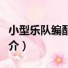小型樂隊編配教程（關于小型樂隊編配教程簡介）