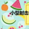 小型射擊場（關于小型射擊場簡介）