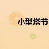 小型塔節石（關于小型塔節石簡介）