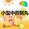 小型中藥制丸機（關于小型中藥制丸機簡介）