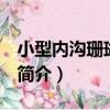 小型內溝珊瑚 新種（關于小型內溝珊瑚 新種簡介）