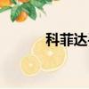 科菲達手機定位軟件（科菲達）