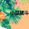 小型戰斗機（關于小型戰斗機簡介）