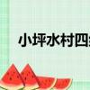 小坪水村四組（關于小坪水村四組簡介）