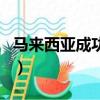 馬來西亞成功集團董事長（馬來西亞成功集團）