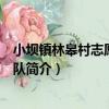 小壩鎮林皋村志愿者服務隊（關于小壩鎮林皋村志愿者服務隊簡介）