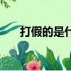 打假的是什么意思（假打是什么意思）