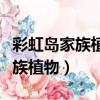 彩虹島家族植物需要多少個催化劑（彩虹島家族植物）