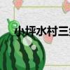 小坪水村三組（關于小坪水村三組簡介）