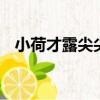 小荷才露尖尖角 早有蜻蜓立上頭什么意思