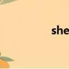 shellclassinfo什么意思