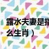 露水夫妻是指什么生肖猴子（露水夫妻是指什么生肖）