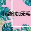 小型印加無毛犬（關于小型印加無毛犬簡介）
