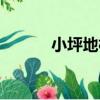 小坪地村（關于小坪地村簡介）