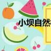 小壩自然村（關于小壩自然村簡介）