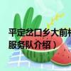 平定岔口鄉大前村志愿服務隊（關于平定岔口鄉大前村志愿服務隊介紹）