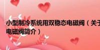 小型制冷系統用雙穩態電磁閥(關于小型制冷系統用雙穩態電磁閥簡介)