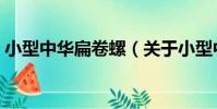小型中華扁卷螺(關于小型中華扁卷螺簡介)