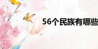 56個民族有哪些(5)