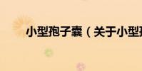 小型孢子囊(關于小型孢子囊簡介)